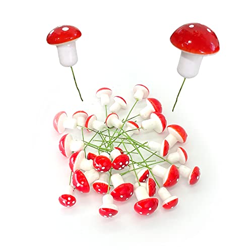 OHYER 30 Stück Pilz Dekoration Gartenpilze Blumentopf Pilze Micro Landschaft Garten Deko Mini Pilze Fliegenpilz am Draht DIY Basteln Miniatur Pilze für Bonsai Pflanze Aquarium Garten Deko (2cm, 3cm) von OHYER
