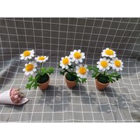 Ein Topf Mit Häkeln Gänseblümchen, Gänseblümchen Ornamente, Blumen Geschenk, Wohndekor, Handgemachte Blumen, Handgemachtes Geschenk von LOVFS
