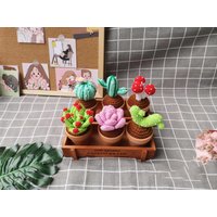 Gehäkelte Sukkulenten, Sukkulenten Ornamente, Gestrickter Kaktus Im Topf, Grünpflanzen Wohnkultur, Handgemachtes Geschenk, Einweihungsgeschenk von LOVFS