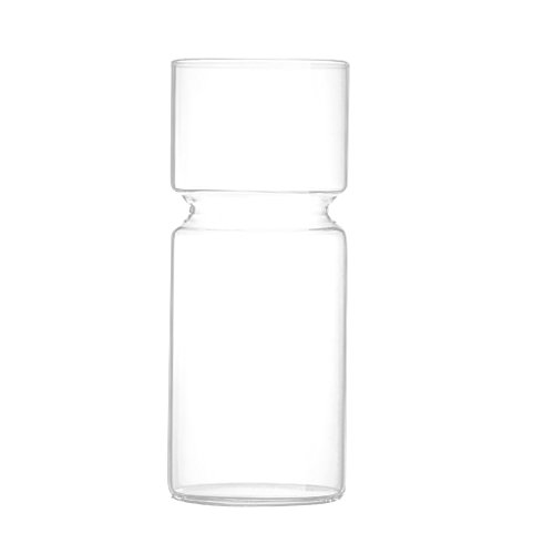 LOVIVER Klar Glas Hyazinthenvase Hyazinthenglas Glasvase Dekorative Vase von LOVIVER