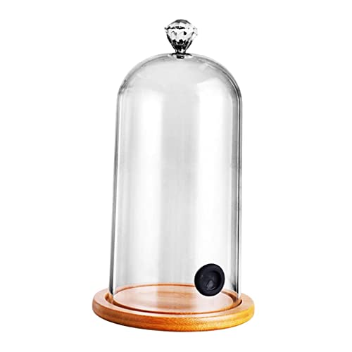 LOVIVER Rauchhauben Deckel Dome Abdeckung für Cocktail Food Dish Cake Easy to von LOVIVER