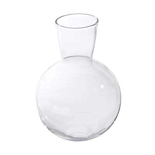 Rundform Glaspflanze Blumenlandschaft Vase Behälter Zwiebelvase für Hydroponikanlage von LOVIVER