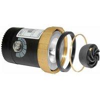 Ecocirc pro 00-1 /000 Servicemotor hocheffiziente Zirkulationspumpe 60A1D1001 - Lowara Ecocirc pro 00-1 /000 Servicemotor hocheffiziente Zirkulationspumpe 60A1D1001 - Lowara von LOWARA