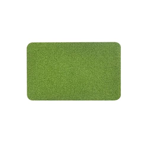 LPACXBYD Simulation Gras Staub Entfernung Matte Tür Boden Matte Hause Teppich Matte Schlamm Schaben Rasen Matte Korridor Matte Teppich Zum Saugen von Eingangstüren(1,40X60cm) von LPACXBYD