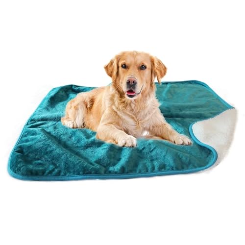 LPAGOLMIX Haustierdecke wasserdichte Haustierdecke Waschbare Hundedecke for Sofa, Bett, Couch, Schutz vor Flüssigkeitsurin, for Hunde, for Schlafsofa(Blue,75x100cm) von LPAGOLMIX