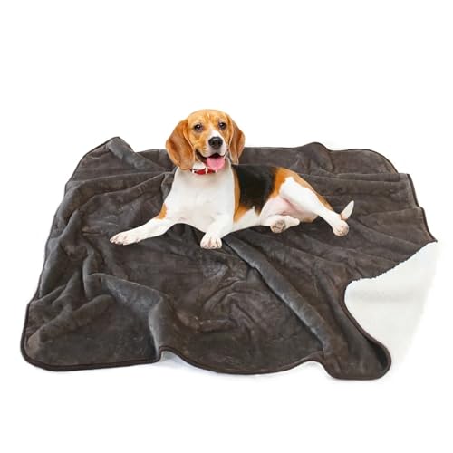 LPAGOLMIX Haustierdecke wasserdichte Haustierdecke Waschbare Hundedecke for Sofa, Bett, Couch, Schutz vor Flüssigkeitsurin, for Hunde, for Schlafsofa(Brown,75x100cm) von LPAGOLMIX