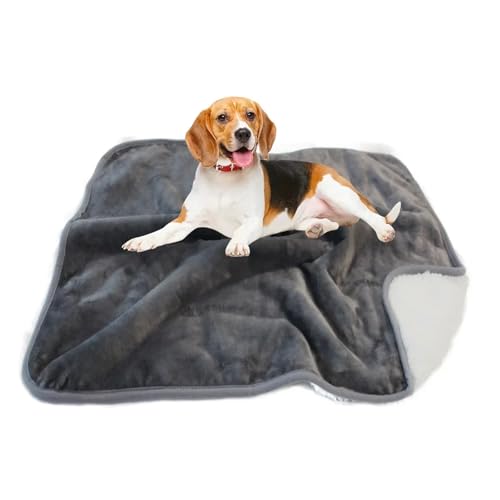 LPAGOLMIX Haustierdecke wasserdichte Haustierdecke Waschbare Hundedecke for Sofa, Bett, Couch, Schutz vor Flüssigkeitsurin, for Hunde, for Schlafsofa(Grey,65x90cm) von LPAGOLMIX