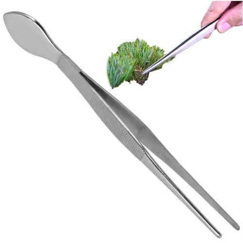 Pinzette Präzisionspinzette, Bonsai-Pinzette, Edelstahl, feine spitze Pinzette, gerade Bonsai-Pinzette von LPAGOLMIX