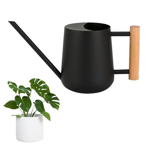 LPAMABA 1L Gießkanne Indoor Giesskanne Edelstahl Gießkanne LPAMABA Gießkanne für Pflanzen im Innen- und Außenbereich, Bonsai mit langem Ausguss und Holzgriff von LPAMABA