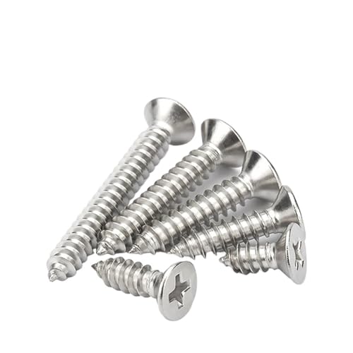 LPANBTGU 316 Edelstahl M2 M2.2 M2.6 M3 M3.5 M4 M5 M6 Kreuznut Senkkopf Blechschraube(M6x60 2 Pcs) von LPANBTGU
