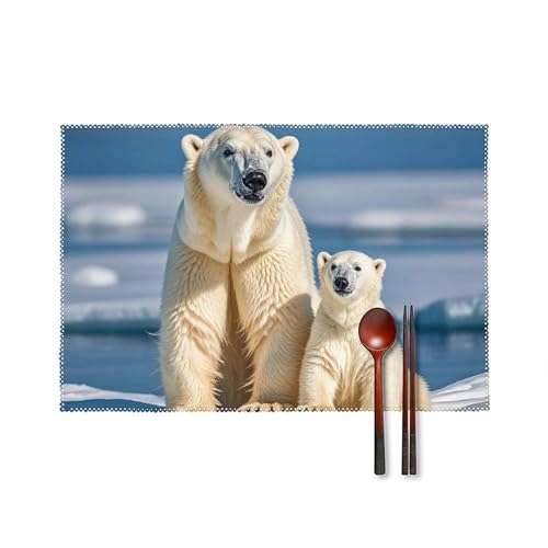 2 Eisbären-Platzsets, hitzebeständig, rutschfest, harte Leinwand, Tischmatten für Esszimmer, Innen- und Außenbereich, Urlaubsdekoration, waschbar und langlebig, 30,5 x 45,7 cm, 4 Stück 2 Eisbären-Platzsets, hitzebeständig, rutschfest, harte Leinwand, Tischmatten für Esszimmer, Innen- und Außenbereich, Urlaubsdekoration, waschbar und langlebig, 30,5 x 45,7 cm, 4 Stück von LPSADGF