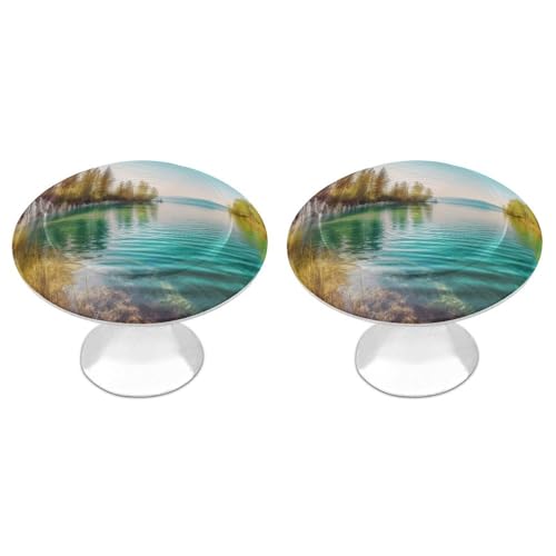 LPSADGF Schrankknäufe mit sauberem Wasser und Seenlandschaft, 2 Stück, Edelstahl, Schrankgriffe, Vintage-Schubladengriffe für Küchenschränke, Badezimmer, Kleiderschrank, einfache Installation LPSADGF Schrankknäufe mit sauberem Wasser und Seenlandschaft, 2 Stück, Edelstahl, Schrankgriffe, Vintage-Schubladengriffe für Küchenschränke, Badezimmer, Kleiderschrank, einfache Installation von LPSADGF