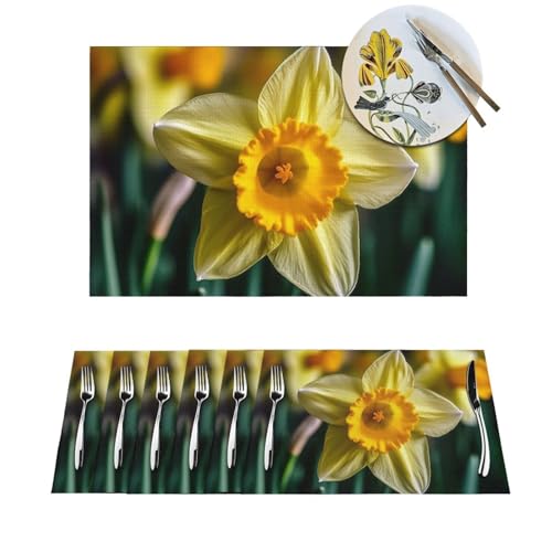 1 Platzdeckchen-Set, hitzebeständig, rutschfest, für Esstisch, Narzissen-Blume, PVC, gewebtes Tischset, abwischbar, waschbar, Küchentischmatten für drinnen und draußen, 30,5 x 45,7 cm von LPSRTWE