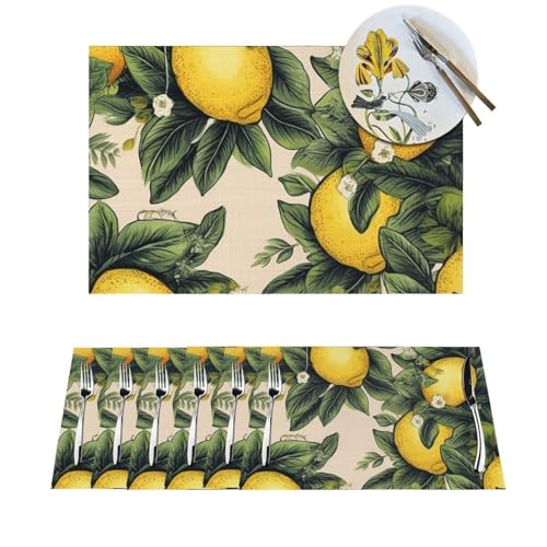 1 Platzdeckchen-Set, hitzebeständig, rutschfest, für Esstisch, PVC, gewebt, abwischbar, waschbar, Küchentischmatten für drinnen und draußen, 30,5 x 45,7 cm 1 Platzdeckchen-Set, hitzebeständig, rutschfest, für Esstisch, PVC, gewebt, abwischbar, waschbar, Küchentischmatten für drinnen und draußen, 30,5 x 45,7 cm von LPSRTWE