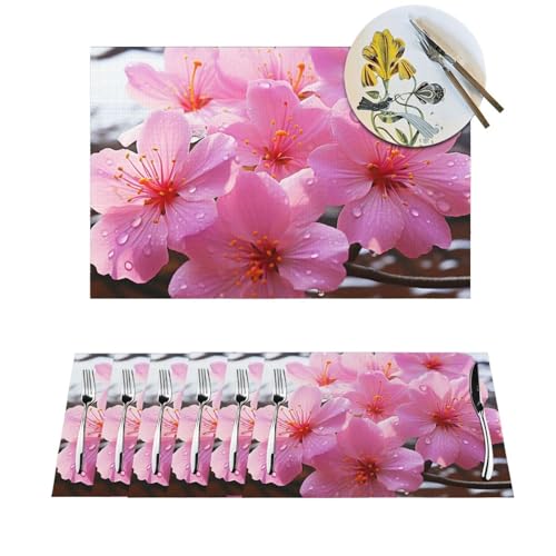 Platzdeckchen-Set, hitzebeständig, rutschfest, für Esstisch, Blumendruck, PVC, gewebt, abwischbar, waschbar, Küchentischmatten für drinnen und draußen, 30,5 x 45,7 cm, 6 Stück Platzdeckchen-Set, hitzebeständig, rutschfest, für Esstisch, Blumendruck, PVC, gewebt, abwischbar, waschbar, Küchentischmatten für drinnen und draußen, 30,5 x 45,7 cm, 6 Stück von LPSRTWE