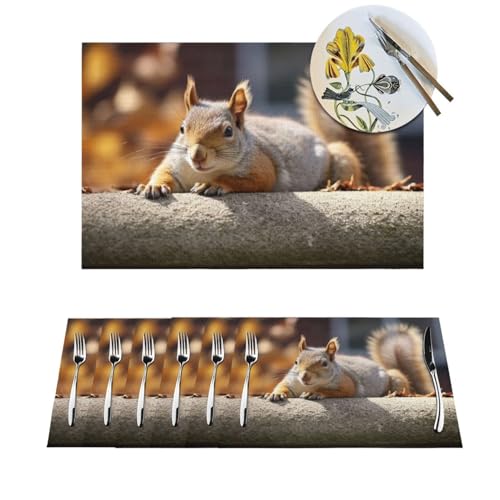 Platzdeckchen-Set, hitzebeständig, rutschfest, für Esstisch, Eichhörnchen, einfach verlegen, PVC, gewebtes Tischset, abwischbar, waschbar, Küchentischmatten für drinnen und draußen, 30,5 x 45,7 cm, 4 Platzdeckchen-Set, hitzebeständig, rutschfest, für Esstisch, Eichhörnchen, einfach verlegen, PVC, gewebtes Tischset, abwischbar, waschbar, Küchentischmatten für drinnen und draußen, 30,5 x 45,7 cm, 4 von LPSRTWE