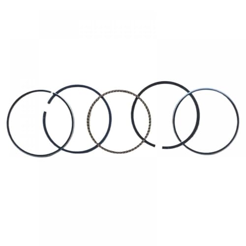 GC160 Piston Ring Set 64mm kompatibel mit 5 PS 4 -Takt -Motoren Anpassungen GCV160 Zylinder Kit Koben Ringe Assembly(2 X RING SET) von LQNXAVUD