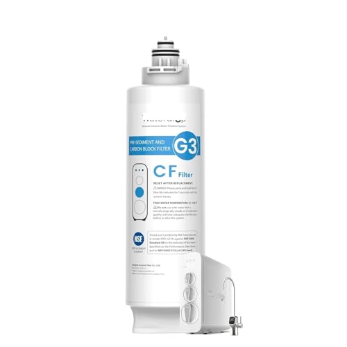 Ersatz For Umkehrosmosesystem WD-G3-W, WD-G3P600 Und WD-G3P800-W, 6 Monate Lebensdauer, Kompatibel Mit Waterdrop WD-G3-CF-Filter von LQQJSQTW
