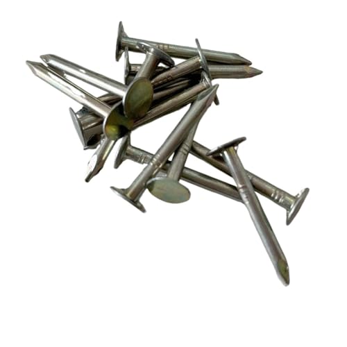 Nägel, Eisendachpappennägel-Packung 25–75 mm(31mm) von LQRCTRY