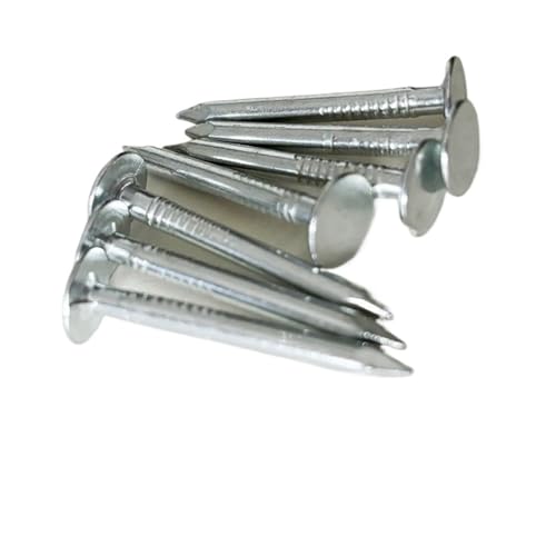 Nägel, Eisendachpappennägel-Packung 25–75 mm(50mm) von LQRCTRY