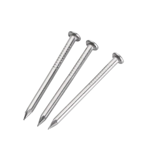 Nägel, Zimmermannsnägel aus Edelstahl 304, 1140 Stück, silberfarben, mehrere Größen(0.5 Inch) von LQRCTRY