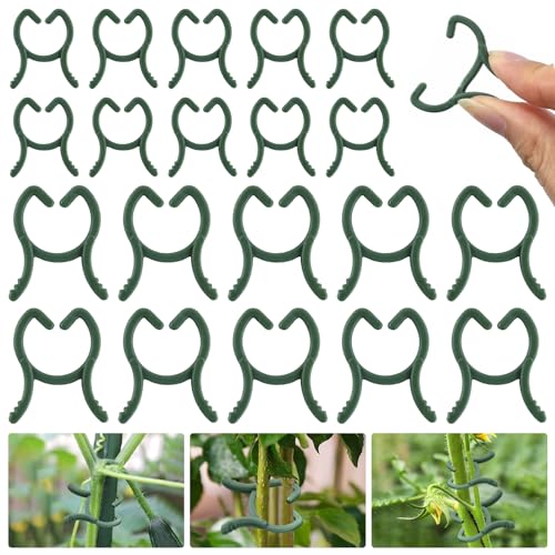 LQTSLFM 100 Stück Pflanzenklammern Grün, Pflanzenclips 2 x 2.6cm und 3 x 3,6cm, Pflanzen Clips für Kletterpflanzen Wiederverwendbar Tomatenclips, Gartenklammern für Unterstützen Pflanzen Gemüse Obst LQTSLFM 100 Stück Pflanzenklammern Grün, Pflanzenclips 2 x 2.6cm und 3 x 3,6cm, Pflanzen Clips für Kletterpflanzen Wiederverwendbar Tomatenclips, Gartenklammern für Unterstützen Pflanzen Gemüse Obst von LQTSLFM