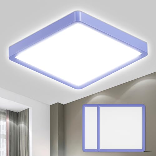 LQWELL® Deckenleuchte LED Deckenlampe, IP44 Wasserfest Badlampe Quadrat Flach 18W 6000K 1600LM Modern Schlicht Lampe Dünn für Wohnzimmer Badezimmer Schlafzimmer Küche Flur Keller Büro, 220 * 24mm von LQWELL