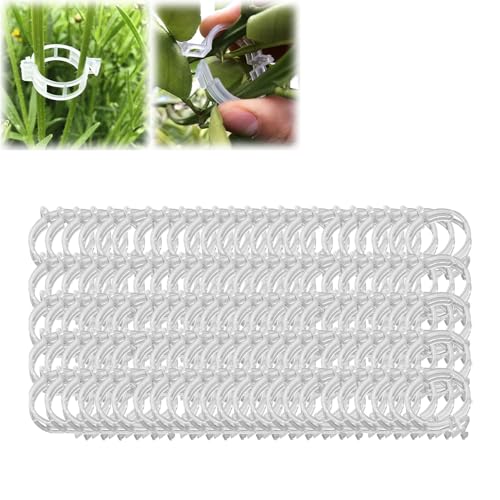 Plant Fixing Clips, Plant Support Clips Reusable Garden Clips, Plant Support Clips for Gardening, Plant Clips for Climbing Plants Clear (100pcs) von LQX