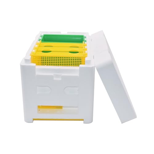 LQXHZ Biene Hive Mini -Paarungsbox Abnehmbare Feeder -Paarung Bienenstock mit Kunststoffrahmen Bienenzucht Bestäubungsbox nu nuk Bienenstock von LQXHZ