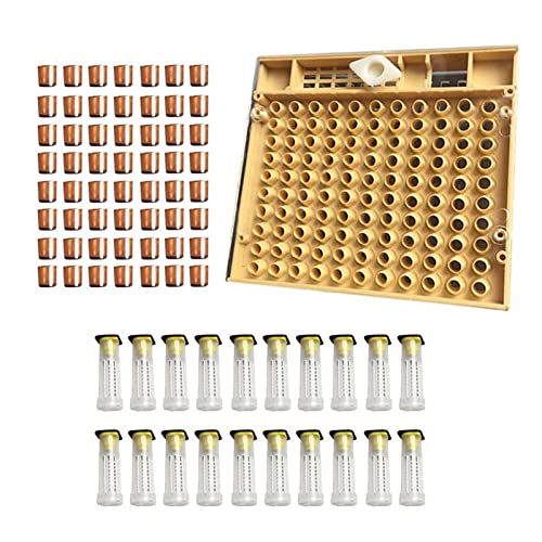 LQXHZ Bienenwerkzeuge Käfige Königin Aufzuchtsystem Königin Bienen Zucht Set Kultivierungsbox 110pcs Kunststoffbienenzellen Cups Kit Königin Käfig von LQXHZ