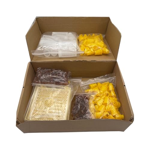 LQXHZ Deutschland Jenter Königin Aufzucht Kit Nicot Bee Queens Aufzuchtsystem Königin Biene Larve Move Käfigwaren Tool for Imker Lieferungen(Carton package) von LQXHZ