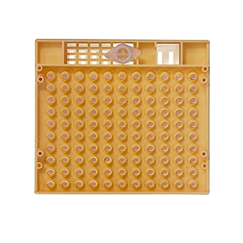 LQXHZ Nicot Bee Queen Aufzucht Kit Warenwerkzeuge for Imker Lieferungen von LQXHZ