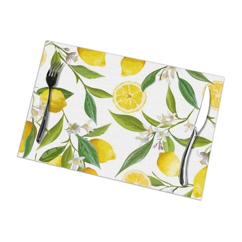 LQXHZ Set von 6 Früchten Zitronenblumenmuster placemat -kompatibel mit Esstisch Platz in Küchenzubehör Cup Wine Matte von LQXHZ