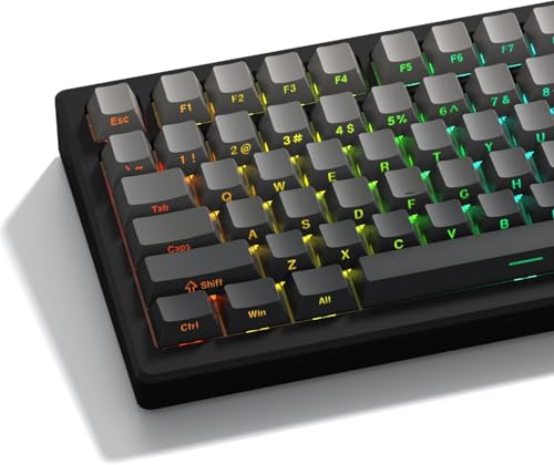 LQXQ PBT 136 Tasten Transparente, Double Shot Profile Cherry Shine Through Keycaps, Custom Tastenkappen Schattierte Tasten für ANSI US Mechanische Tastaturen - Grau von LQXQ