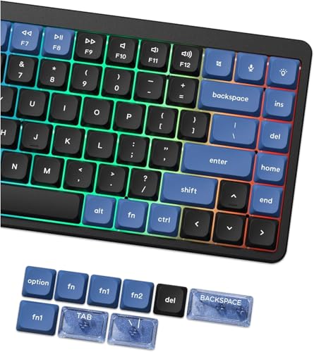 LQXQ Low Profile Keycaps, Double Shot PBT Tastenkappen 60 75 100 Prozent, PC Material Transparente Tastaturkappen Dunkelblau/Blaue für die meisten MX Switches Mechanische Tastatur(nur Tastenkappen) von LQXQ