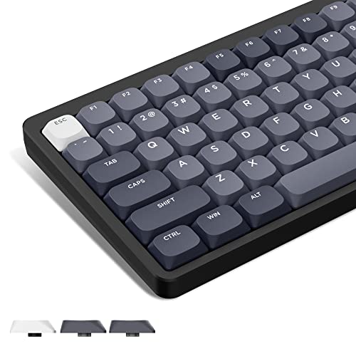 LQXQ Low Profile Keycaps 143, PBT Tastatur Tastenkappen, Keycaps für ANSI US 60% 65% 75% 80% 100% Cherry Gateron MX Schalter Mechanische Tastatur, Grau (ISO Nicht unterstützt) von LQXQ