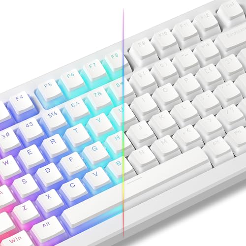 LQXQ Pudding Keycaps PBT 100% Tastatur 130 Tasten, Shine Through Custom Keyboard Keycaps OEM Profil für 100%, 75%, 65%, 60% MX-stem Switches Tastaturen, Weiß (ISO DE Nicht unterstützt) von LQXQ