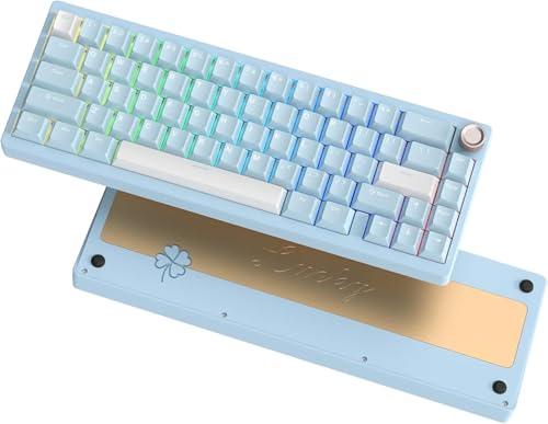 LQXQ SK65 V1 Mechanische Gaming-Tastatur Kabellose, 60 Prozent Aluminium Tastatur, Bluetooth 5.0/2.4GHz/USB-C Wired Hot Swappable Custom RGB Backlit Keyboard für Mac Computer PC, Retro Cremig Blau von LQXQ