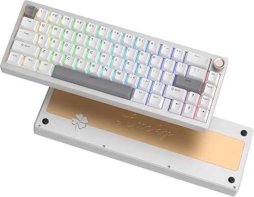 LQXQ SK65 V1 Mechanische Gaming-Tastatur Kabellose, 60 Prozent Aluminium Tastatur, Bluetooth 5.0/2.4GHz/USB-C Wired Hot Swappable Custom RGB Backlit Keyboard für Mac Computer PC, Retro Cremig Silber LQXQ SK65 V1 Mechanische Gaming-Tastatur Kabellose, 60 Prozent Aluminium Tastatur, Bluetooth 5.0/2.4GHz/USB-C Wired Hot Swappable Custom RGB Backlit Keyboard für Mac Computer PC, Retro Cremig Silber von LQXQ