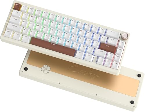LQXQ SK65 V1 Mechanische Gaming-Tastatur Kabellose, 60 Prozent Aluminium Tastatur, Bluetooth 5.0/2.4GHz/USB-C Wired Hot Swappable Custom RGB Backlit Keyboard für Mac Computer PC, Retro Cremig Weiß LQXQ SK65 V1 Mechanische Gaming-Tastatur Kabellose, 60 Prozent Aluminium Tastatur, Bluetooth 5.0/2.4GHz/USB-C Wired Hot Swappable Custom RGB Backlit Keyboard für Mac Computer PC, Retro Cremig Weiß von LQXQ