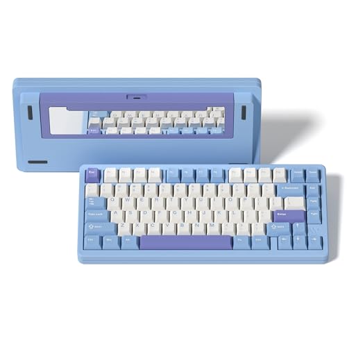 LQXQ SK75 75% Aluminium Wireless Mechanical Tastatur ANSI US, Pre-lubed POM Switches RGB Creamy Gaming Keyboard, 3-Modes BT5.0/2.4G/USB-C, Hot Swappable Keyboard mit Dichtung, Blau von LQXQ