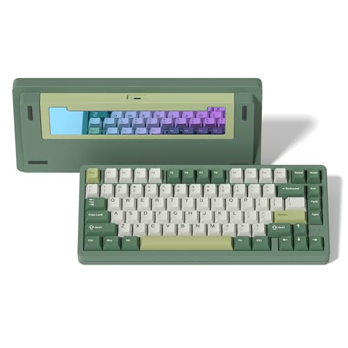 LQXQ SK75 75% Aluminium Wireless Mechanical Tastatur ANSI US, Pre-lubed POM Switches RGB Creamy Gaming Keyboard, 3-Modes BT5.0/2.4G/USB-C, Hot Swappable Keyboard mit Dichtung, Grüner von LQXQ