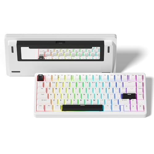 LQXQ SK75 75% Aluminium Wireless Mechanical Tastatur ANSI US, Pre-lubed POM Switches RGB Creamy Gaming Keyboard, 3-Modes BT5.0/2.4G/USB-C, Hot Swappable Keyboard mit Dichtung, Weiß von LQXQ