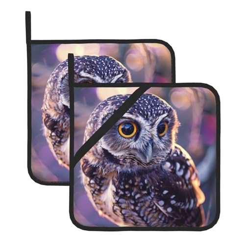 Lustige Ofen- und Mikrowellen-Topflappen mit Eulen-Motiv, bedruckt, quadratisch, hitzebeständig, für Küche, Kochen, Backen, Grillen, 2 Stück von LRHCNZDCP