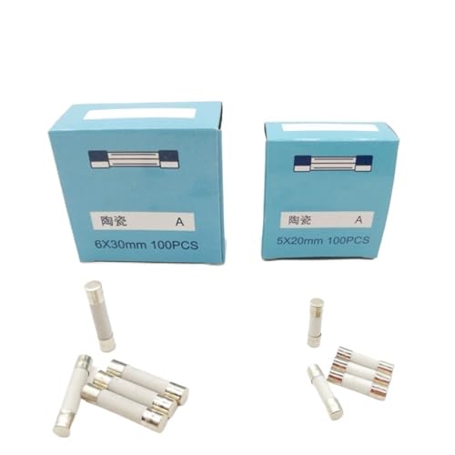 100pcs 5 * 20mm 6 * 30mm ceramics fuse 250V 0.5 1 2 3 4 5 6 8 10 15 20 25 30A fuse Electronic component voltage protection(100pcs 5x20,25A) von LRMBGVIBI