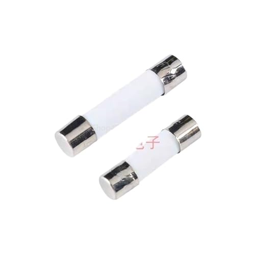 10PCS 5X20MM 6X30MM Ceramic Fuse R054 5 * 20mm 250V 0.5A 1A 2A 3A 3.15A 4A 5A 6A 8A 10A 20A 30A Fuse Tube R058 6 * 30mm(6x30mm,3A) von LRMBGVIBI
