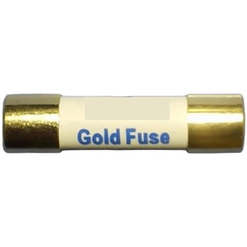 1Pcs AMR 5x20mm T1A T2A T3.15A T4A T5A T6.3A T10A H250V Gold Fuse European Audio Amplifier HIFI Gilding Cap Silver Wire Fuses(T6.3A H250V 6.3A) von LRMBGVIBI