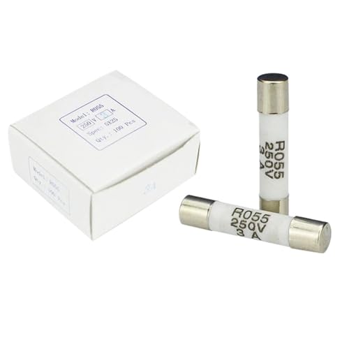 20pcs/lot Set RO55 5 * 25 MM 250V Copper Cap Blow Ceramic Fuse 500mA 1A 2A 3A 4A 5A 6A 8A 10A 15A 16A 20A Fuses 5x25mm 0.5A 250V(6A) von LRMBGVIBI