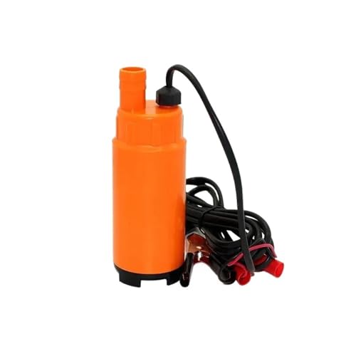 51mm DC Elektrische Diesel Kraftstoffpumpe 12V 24V 30L/min Wasser Öl Auto Camping Angeln Tauchpumpe Transfer Kunststoff Mit Schalter(24V) von LRMBGVIBI
