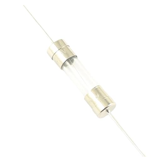 5pcs Glass Tube Fuse 5x20mm 5 * 20mm Quick Fast/Slow Blow Time Delay Axial Links Lead 250V 1A 2A 3A 3.15A 4A 5A 6.3A 8A 10A 15A(5A,Fast Blow-F) von LRMBGVIBI
